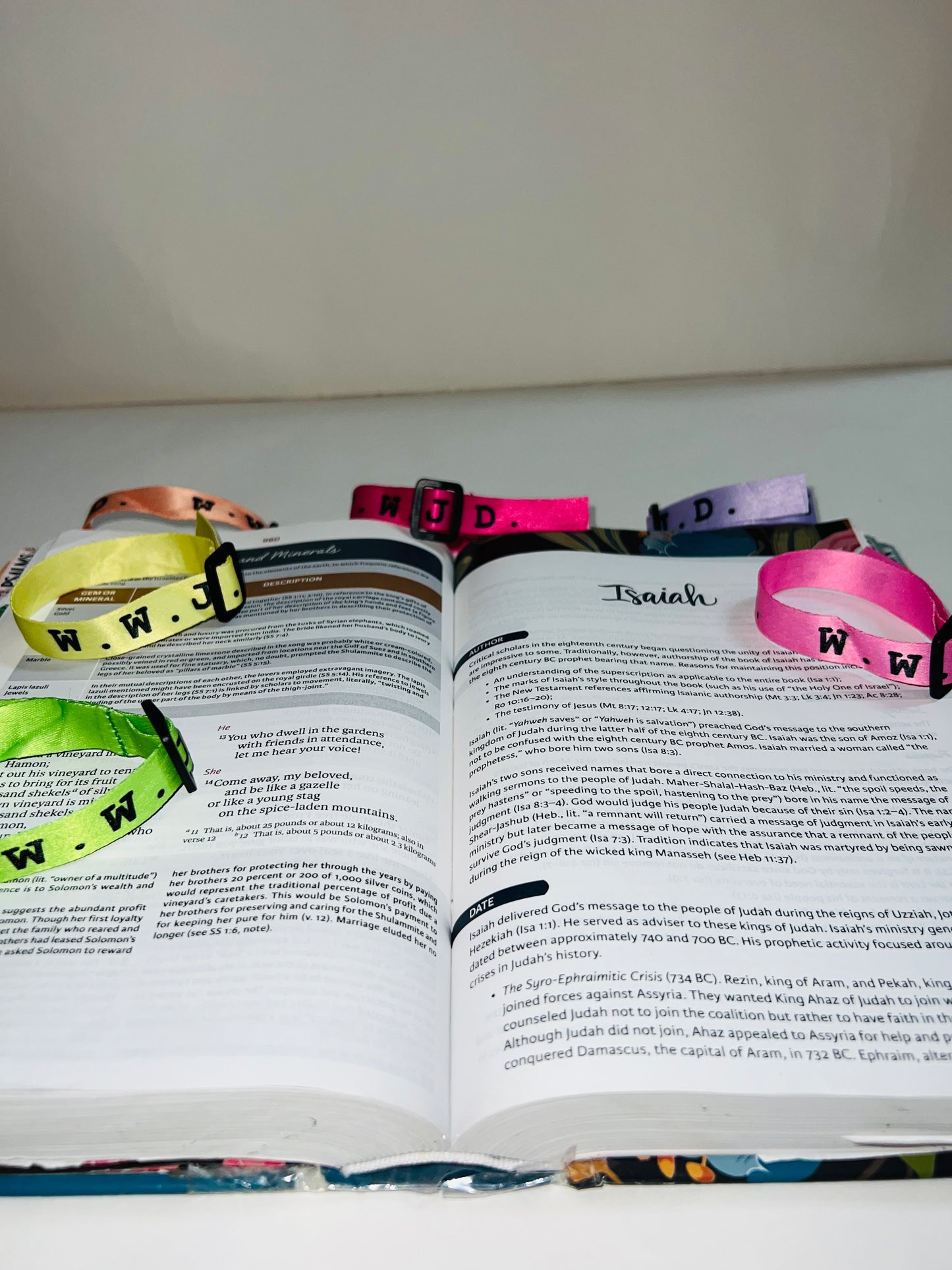 WWJD Webbing Spring Colored Bracelets