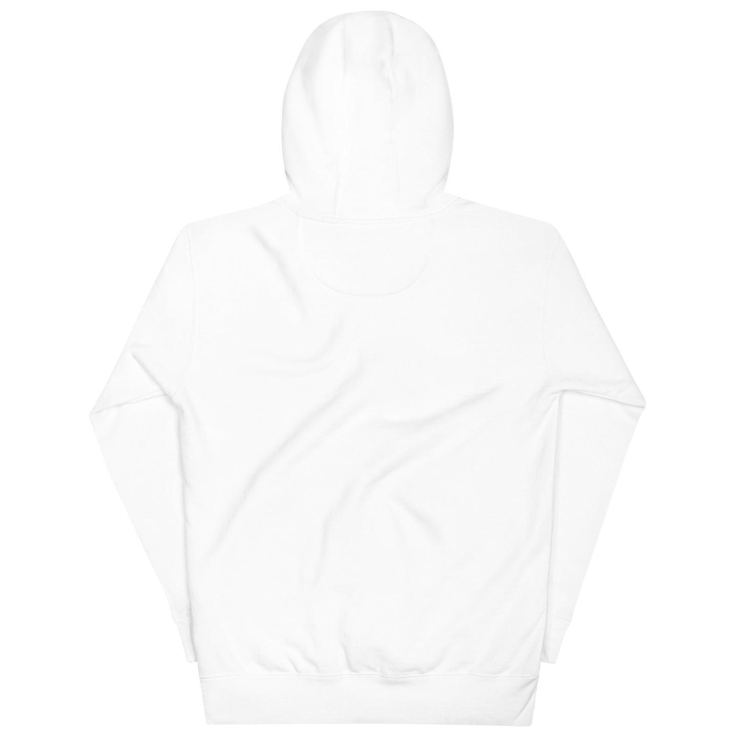 Soar High Unisex Hoodie